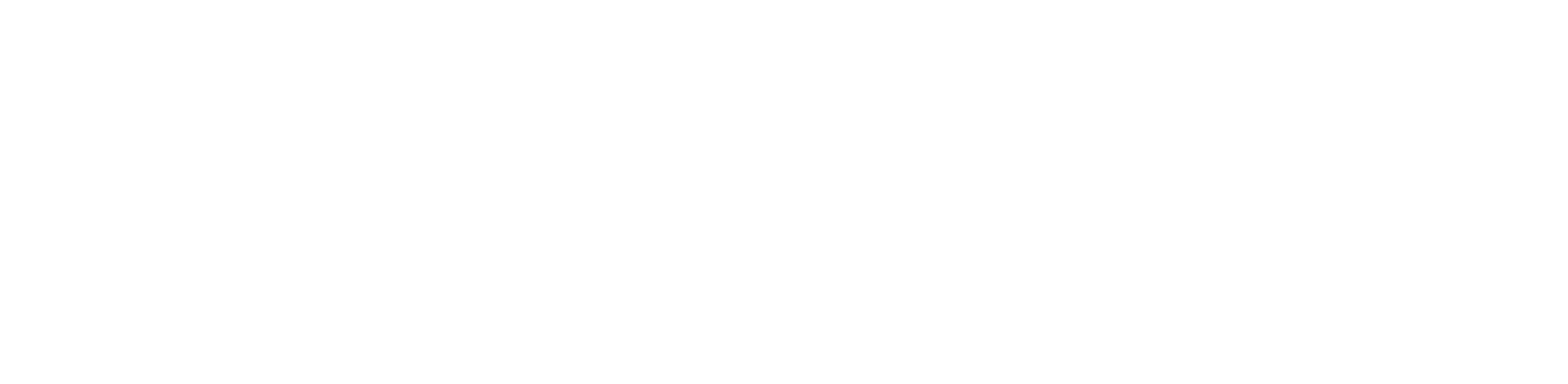 MV Fotografía